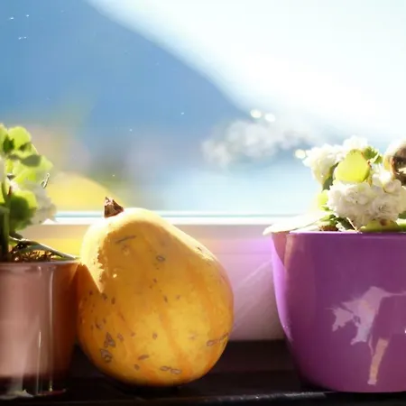 Apartment Nede Brist